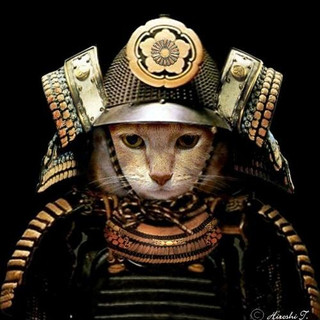 Writer: Noel Stephens