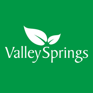 Writer: Marketing Valley Springs
