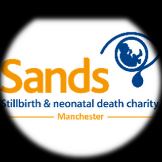 Writer: Manchester Sands