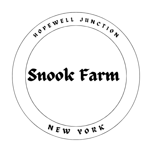 Writer: Laurel Snook