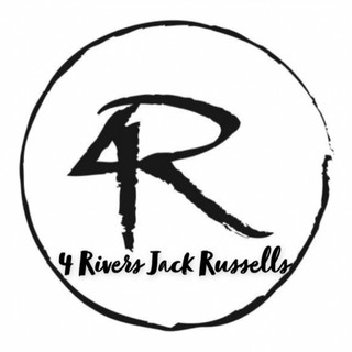 Writer: Natasha Hankins