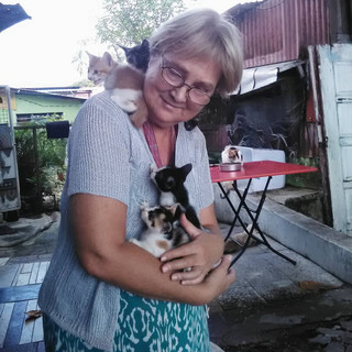 Writer: Teviot Fairservis