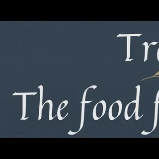 Writer: shreyashitravelguide