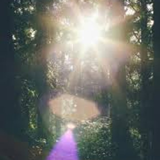 執筆者の写真: New Light