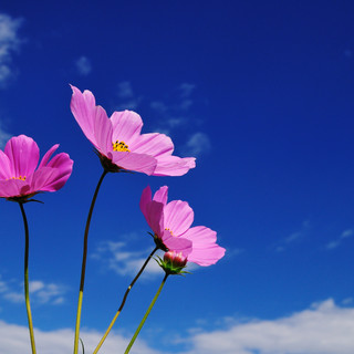 執筆者の写真: NAOMI SHISEKI