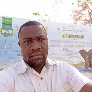 Writer: Tongesai Mutematsaka