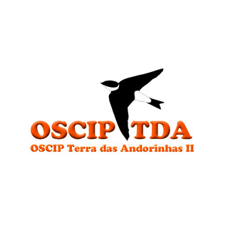 Foto do escritor: OSCIP Terra da Andorinhas
