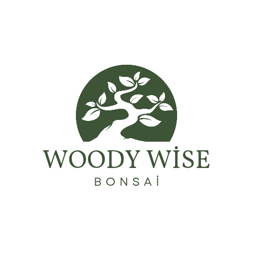 Yazarın fotoğrafı: woodywisetree