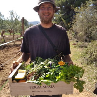 Writer: undergroundfarmers