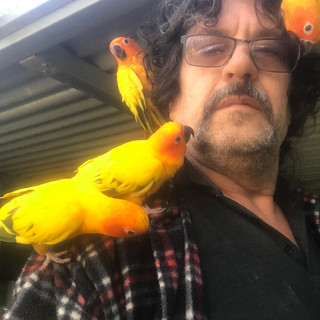 Writer: Beaks & Feathers Aviaries