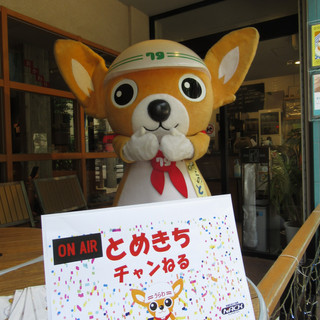 執筆者の写真: とめきち 犬の大工さん
