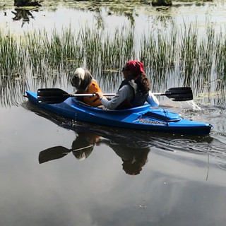 Writer: Jennifer Miller