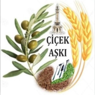 Yazarın fotoğrafı: ÇİÇEK AŞKI