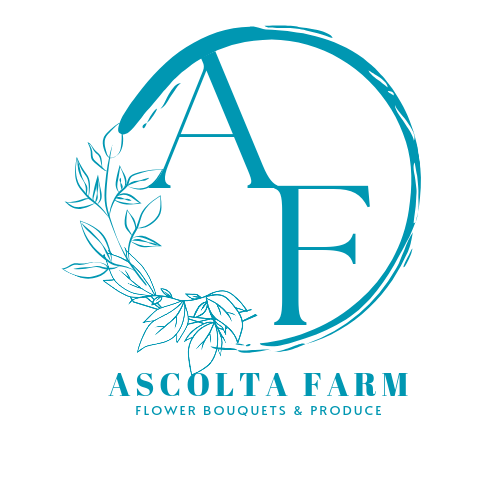 Writer: Ascolta Farm