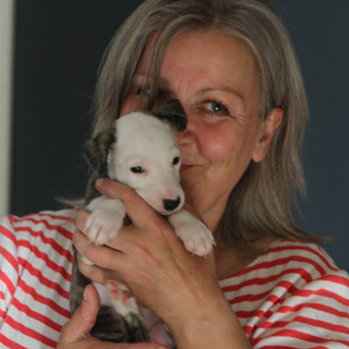 aria-label.authors-picture: Tove-Merete Lilledal