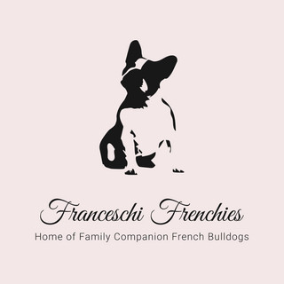 Writer: Franceschi Frenchies
