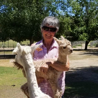 Writer: Cindy Harris